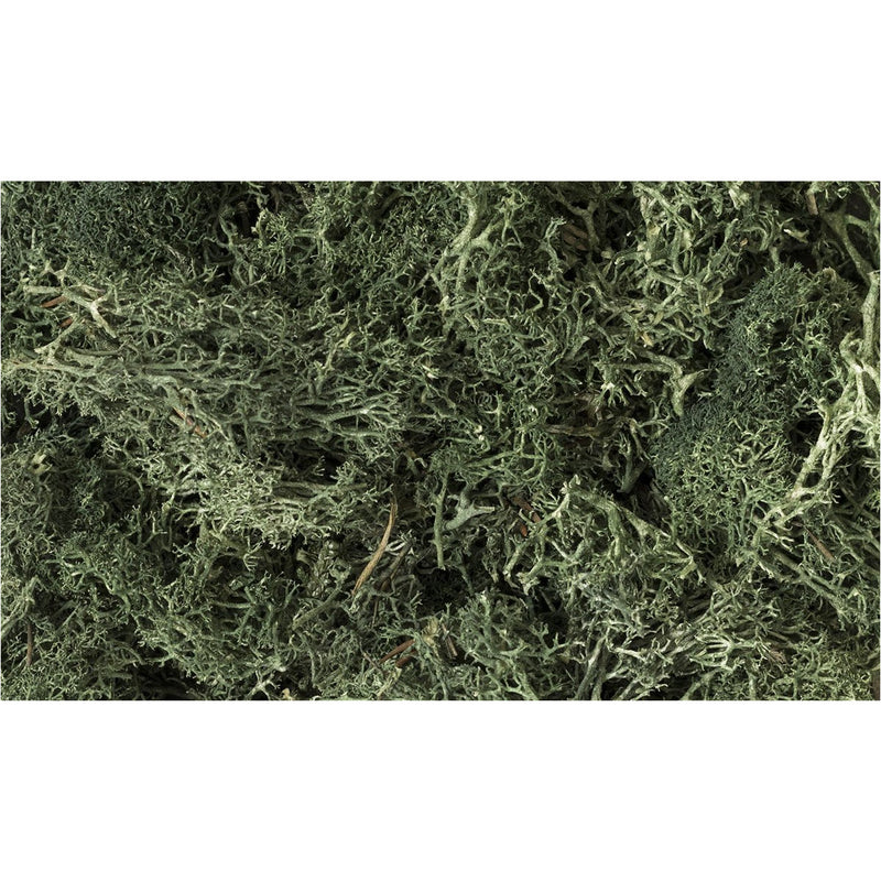 WOODLAND SCENICS Dark Green Lichen