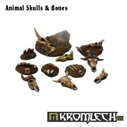 KROMLECH Animal Skulls & Bones (11)