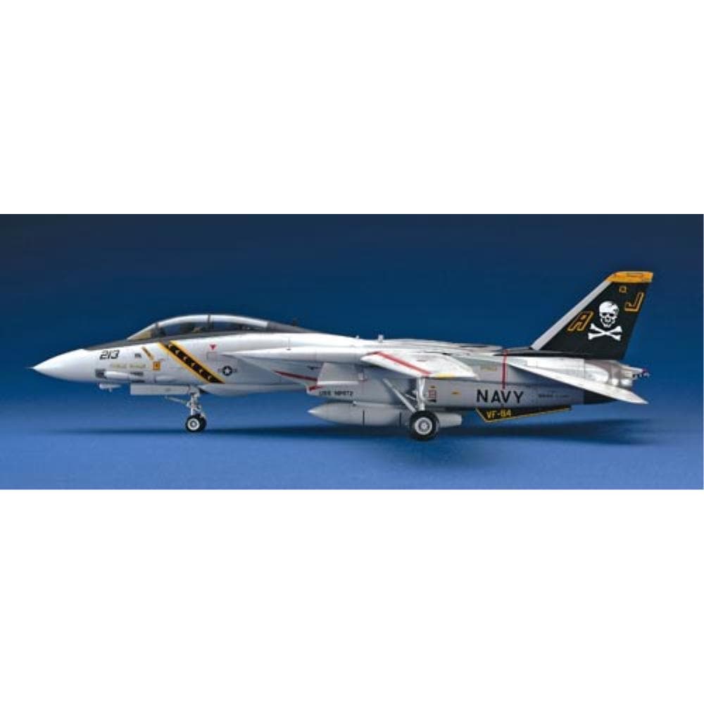 HASEGAWA F-14A TOMCAT