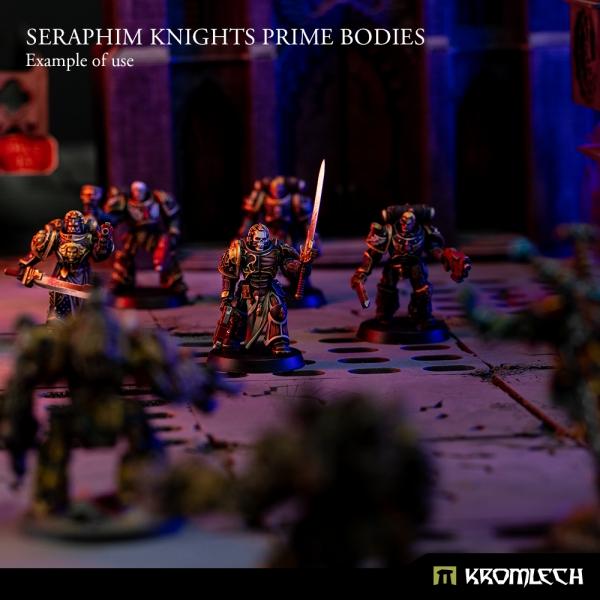 KROMLECH Seraphim Knights Prime Bodies (5)
