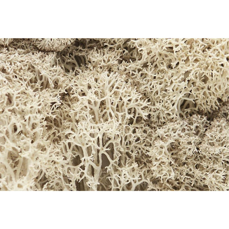 WOODLAND SCENICS Natural Lichen