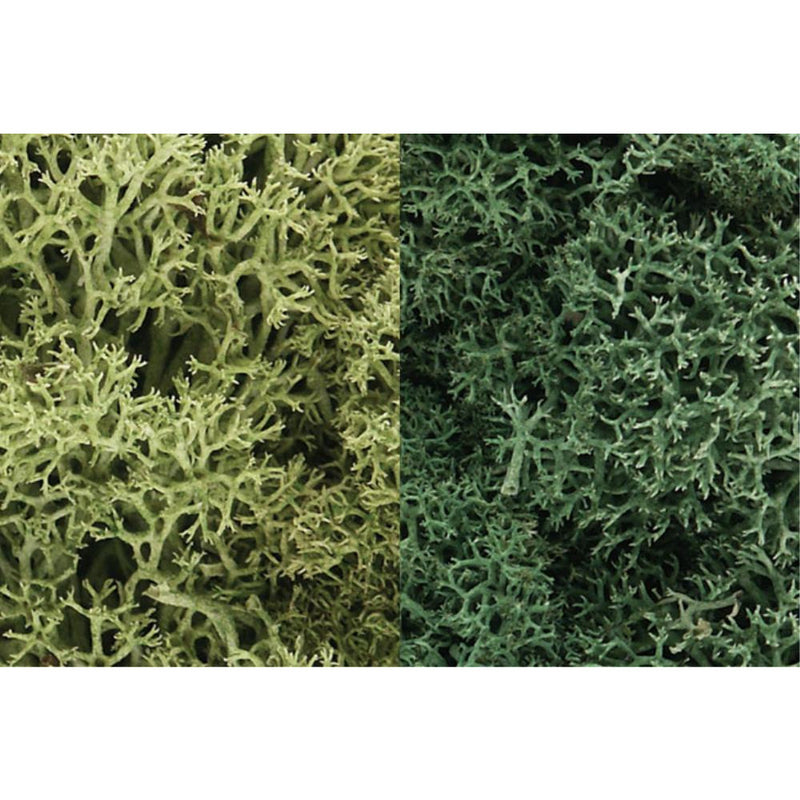 WOODLAND SCENICS Light Green Mix Lichen