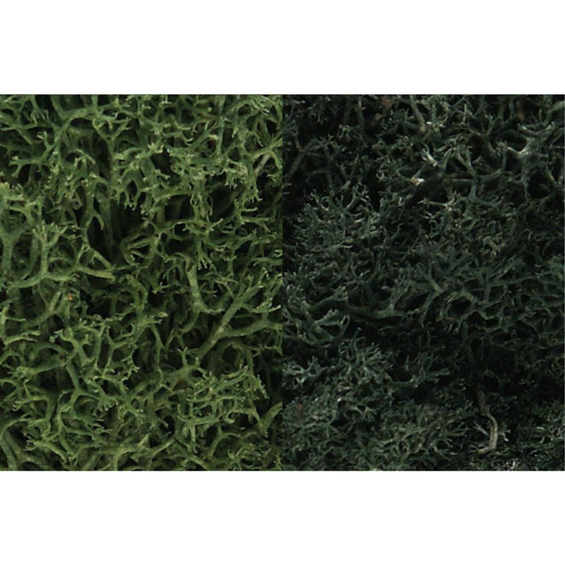 WOODLAND SCENICS Dark Green Mix Lichen